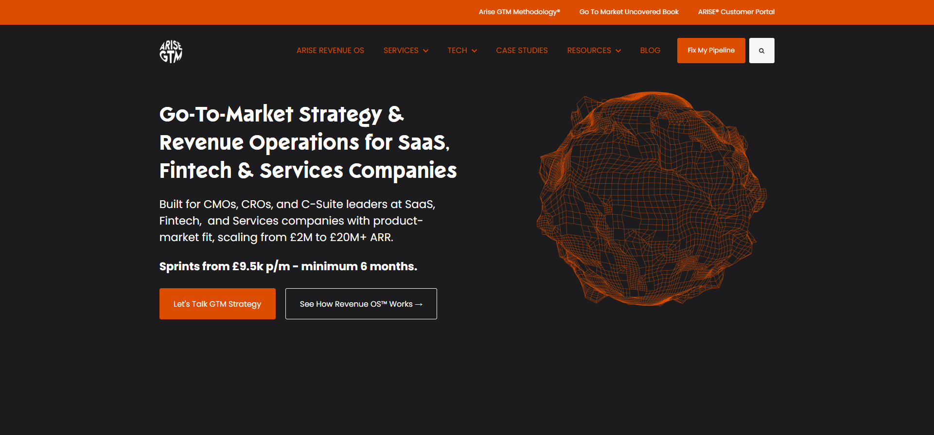 ARISE® GTM - Go-to-market Strategy & Revenue Operations - [arisegtm.com]