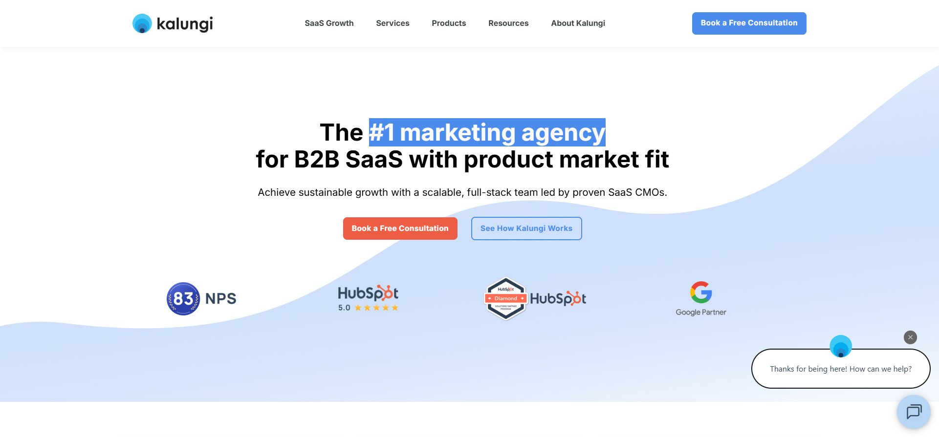 B2B SaaS Marketing Agency - SaaS Growth - Kalungi, Inc. - [www.kalungi.com]